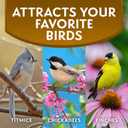 Morning Song Sunflower Hearts & Chips Wild Bird Food, No Mess Sunflower Seeds for Birds, 5.5-Pound Bag (EXP 09/10/27)