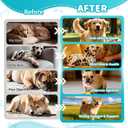 4 x Oral Itch Relief Support Drops for Dogs, Natural Anti-Itch Drops with Neem, Oregano for Puppy, Gentle Herbal Supplement Drop for All Breeds and Ages - Beef Flavor, 2 FL.Oz