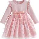 UPlee Toddler Girl Tulle Dress Winter Ruffle Long Sleeve Baby Girl Fashion Casual Tutu Dresses 2-3Y