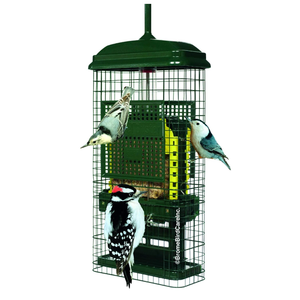 quirrel Buster Suet Squirrel-Proof Suet Bird Feeder with Two Suet Cake Trays, Two Crumb Ports, Mess-Free Suet Loading, Durable Green Design for Clinging Birds