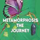Annetta Drummond
Metamorphosis: The Journey