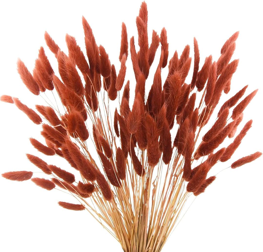 120pcs Burnt Orange Bunny Tails Dried Flowers, 17" Dried Faux Pampas Grass Bulk Decor Fall Pampas Dried Boho Flowers Lagurus Ovatus Rabbit Bunny Tail Grass for Home Wedding Decor Crafts