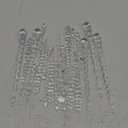 AMS Christmas Sparkling Glitter Icicle Ornaments 23 PCS Acrylic Icicles Ornament Set for Christmas Tree New Year Party Decorations Supplies(5.8''/14.8cm, Clear) Size 9in, 5in, 3.5in, 7 in
