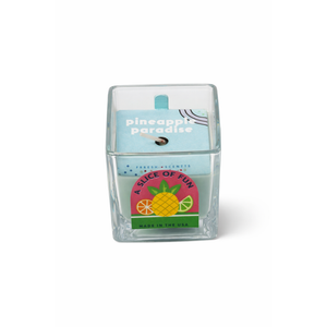 A SLICE OF FUN, WAX WT 2.5OZ (70.87), 5 PACK