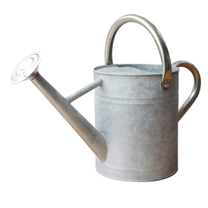 GoGo Metal Watering Can