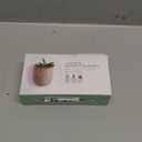 Gift Republic Magnetic Concrete Plant Pots Set of 3 Fridge Planters for Succulents or Small Plants Space-Saving Home Decor & Housewarming Gift Boxed