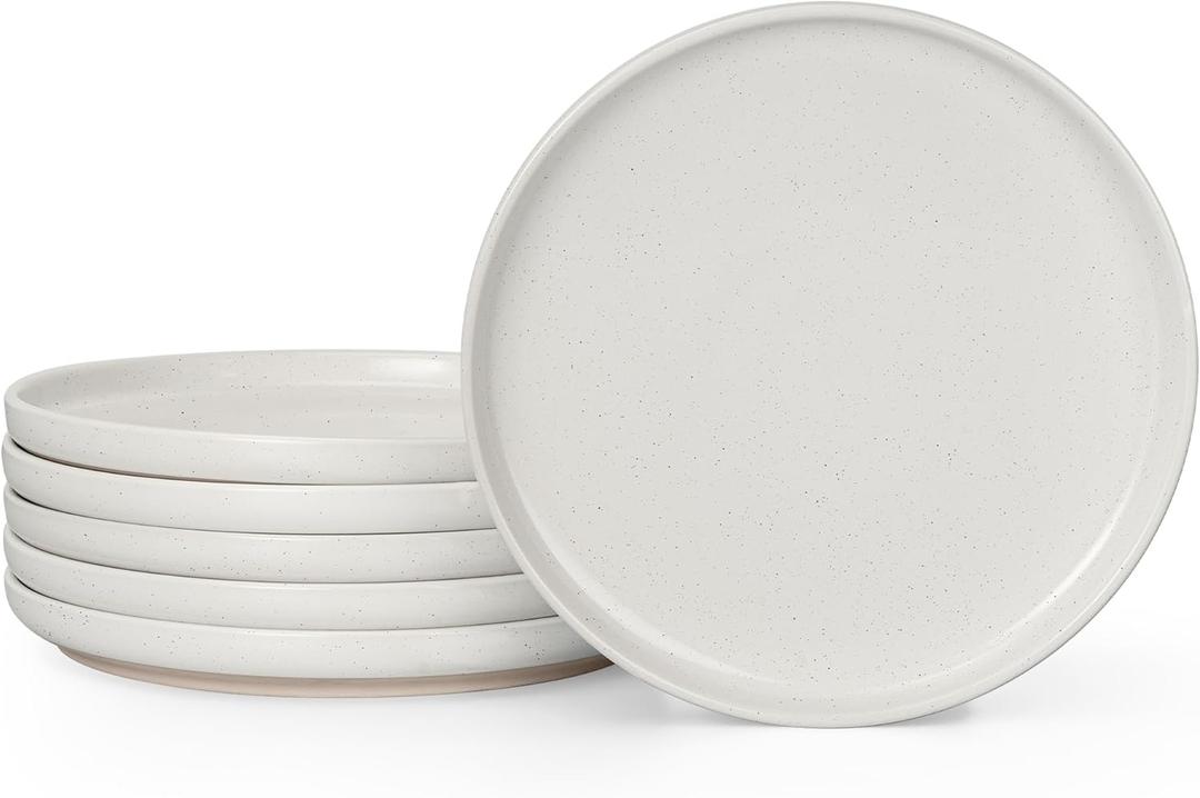 HaWare Dinner Plates Set of 6, 10.2 Inch Stoneware Dinnerware Sets for Home Restaurant, Speckled Milky White