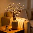 GOESWELL Lighted Branches Tree Lights: 18In Brown Willow Twig Light with Timer for Vase Decor - Tree Branch Light with 60 Warm White LED for Tabletop Living Room Indoor Decoration