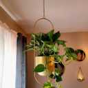 Shineloha 2 Pack Gold Hanging Planter with 5.5" Pot, Gold Plant Hanger, Large