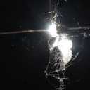 Sony 85 Inch Mini LED QLED 4K Ultra HD TV BRAVIA 7 Smart Google TV with Dolby Vision HDR and Exclusive Features for PlayStation5 (K-85XR70)