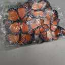 Monarch Butterfly Decorations, 60 Pcs 3D Artificial Monarch Butterfly 3 Sizes Orange Fake Butterflies Wall Decal for Home Party Day of The Dead Halloween Autumn Wedding Bedroom Craft Decor