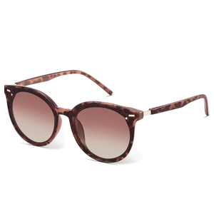 Livho Polarized Sunglasses, Retro & Oversized Shades for Women with Round Lenses