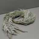 Juexica 19.7 Inch Lighted Christmas Wreaths for Front Door Flocked Norfolk Pine Wreaths with Boho Pampas Grass White Coastal Xmas Decor for Indoor Outdoor Wall Window Home Xmas Seasonal Decor