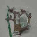 SPI Home 33107 Bird and Branch Hose Holder