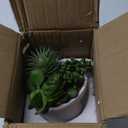 8.7 Small Succulents Cacti Plants Artificial in Ceramic Pots Potted Faux Succulent Arrangement with High Bowl Planter Fake Desk Succulents Cactus Plants for Home Bathroom Shelf Table Indoor Decor (# Succulent Style 2)