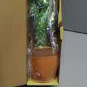 Emoin Talking Cactus Toy, Interactive Toys Dancing Cactus Toy Mimicking Repeating What You Say, Toddler Infant Baby Toys Gifts for 6 7 8 9 10 Month Old Baby Toys for 1 2 3 Year Old Boy Girl