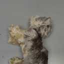 Douglas Yettie Yorkie Yorkshire Terrier Dog Plush Stuffed Animal