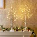 PEIDUO Christmas Decorations Indoor, 2 FT Birch Tree with LED Lights, Fairy Light Spirit Tree for Christmas Decor, Warm White Lighted Birch Trees for Home Decor Indoor, Battery Powered, Timer (2PK)