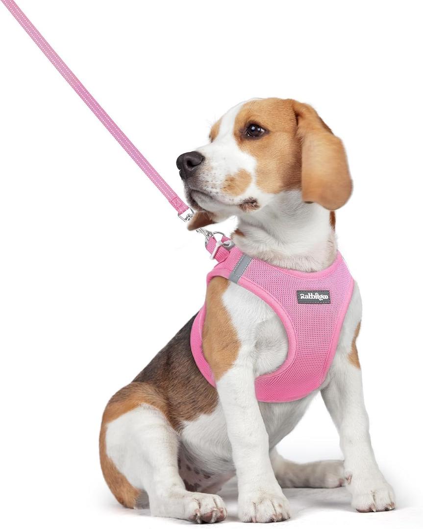 rabbitgoo Dog Harness Small Medium Sized and Leash Set, Step in Soft Light Puppy Vest, Breathable Mesh Pet Harness, Reflective for Safe Easy Walking, Light Pink L (L (Chest: 18.2 - 20.5"))