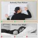 Thin Pillow for Stomach and Back Sleeper Low Pillow Flat Bed Pillow Flat Design Pillows Ultra Slim 2.5 Inches Deeper Sleep (Pack of 1)