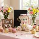 Pink Graduation Bear 2026 with Gold-Stamped Gift Box, 8 Inch Cute Graduation Stuffed Animal for Girls, Soft You DID It Teddy Bear with Pink Cap & Diploma, Class of 2026 Gift for Her