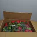 200 Pcs Red Roses Artificial Flowers, Real Touch Velvet Roses Bouquet Fake Flowers Bulk, Artificial Roses with Long Stems for Birthday Gift Women Mom DIY Bridal Wedding Centerpiece Decorations