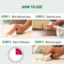 Natures Miracle Urine Destroyer Plus Cat, 32 Ounces,Unscented, Enzymatic Formula, Ready-to-Use (32 Fl Oz (Pack of 1))