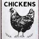 2 x Chicken Decor for Coop Farmhouse Kitchen Garden Funny Vintage Metal Chicken Signs