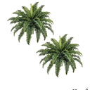 FOREST PRINCE
35" Ferns Artificial Bush Plants Large, 2 Artificial Boston Ferns with 39 Fronds for Outdoors Home Decor