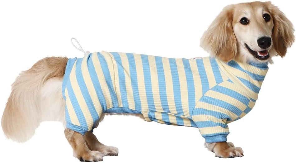 Dachshund Dog Shirt, Thin Striped Base Layer Onesie for Wiener Dogs, Lightweight All-Season Wear, Soft & Comfy Fit for Doxie and Short-Leg Breeds (Blue&Yellow, Size 2 (11-16 lbs))