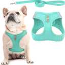 PUPTECK Dog Harness and Leash Set for Small Medium Dogs No Pull Step-in Soft Mesh Puppy Cat Vest Harnesses Reflective at Night, Denim Green M (M(CHEST 16"-18", 11-18 lbs), #2 Turquoise(Denim))