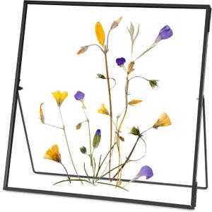 REDHUGO Double Glass Frame for Pressed Flowers Handmade, Tabletop Photo Frame for Floating Picture and Flower Press, Simple, Metal Geometric, Square, Black, 10x10 Inches (10L" x 10W")