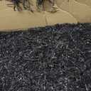 Black Crinkle Paper Filler 10 LB Bulk | USA Made Shredded Paper for Gift Baskets, Shipping, Small Business Packaging | Crinkle Cut Paper Shred | Basket Filler, Birthdays, Weddings, Anniversaries