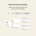 Embark Breed & Health Kit - Dog DNA Testing Kit - Discover Breed, Ancestry, Relative Finder, Genetic Health, Traits, Allergy Risk Scores (1 Count (Pack of 1))