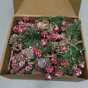 20 PCS Red Berry Pine Cones - Artificial Pine Branches Holly Stems Evergreen Christmas Berries Picks, Decoration for Xmas DIY Crafts Wreath Garland Winter Holiday Dcor