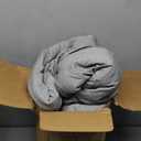 Bedsure Twin/Twin XL Comforter Set - Dark Grey Soft Bedding for All Seasons, Cationic Dyed Bed Set, 2 Pieces, 1 Twin Size Comforter (68"x88") and 1 Pillow Sham (20"x26"+2")