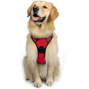 rabbitgoo Dog Harness No Pull with 2 Leash Clips, Adjustable Soft Padded, Reflective Oxford No Choke Pet Vest with Easy Control Handle for Large Dogs, Black & Red, M rabbitgoo Dog Harness No Pull with 2 Leash Clips, Adjustable Soft Padded, Reflective Oxford No Choke Pet Vest with Easy Control Handle for Large Dogs, Black & Red, M