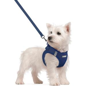 rabbitgoo Dog Harness Small Sized and Leash Set, Step in Soft Light Puppy Vest, Breathable Mesh Pet Harness, Reflective for Safe Outdoor Walking, Navy Blue S