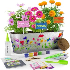 Dan&Darci Paint & Plant Flower Growing Kit for Kids - Gift Ideas Age 5 6 7 8-12 Year Old Girl - Birthday Crafts Gifts for Girls & Boys, Fun Children Gardening Kits, Art Projects for Ages 5-12 Years