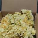 Auihiay 64pcs Silk Hydrangea Artificial Flowers, Champagne Artificial Hydrangea Flowers with Stems, Full Hydrangea Flowers for Wedding Centerpieces, Home, Garden, Party Decoration (Champagne)