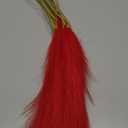 Red Pampas Grass Decor - 30pcs 24 Inch Short Artificial Pampas Grass Decor, Fake Pompas Floral for Vase Filler, Wedding Flower Arrangement, Party and Home Decor (Red)