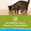 Purina Cat Chow Hairball, Healthy Weight, Indoor, Natural Dry Cat Food, Naturals Indoor - 13 lb. Bag (EXP 10/21/26)