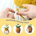 2 x Positive Emotional Support Crochet Corn Poppy Flower Plant  Thank You Appreciation Gift for Women, Men, Mom, Teacher, Coworker, Friend