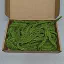 2 Pack 32 Artificial Hanging Plants Faux String of Pearls Plant Fake Green Amaranthus Flower Wall Hanging Lover Tears Wedding Home Garden Decoration