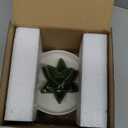 PUDDING CABIN Aloe Ring Holder,Cactus Ring Dish,Jewelry Holder Trinket Tray for Rings Earrings Necklace Organizer,Bridesmaid Christmas Birthday Gift for Women Girls