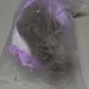 PineCones Tall Bulk Package All Natural,Real Preserved Pine Cones Big Pinecones and Perfect Natural Pine Cones for Christmas Hanging Ornaments Bowl Vase Fillers (3-4.3 in(12pcs))