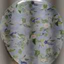 (4 pack) floral plates