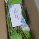 8 Pcs White Hydrangea Artificial Flowers, Latex Real Touch Hydrangea Flowers, 19.6'' Full Faux Hydrangea Flowers Fake Flowers for Home Decor Party Wedding Centerpiece Bouquet Floral Arrangements