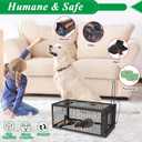 2 Packs Humane Rat Trap Outdoor Mouse Traps Indoor Use, Rodent Chipmunk Traps for Small Live Animal Catch and Release - Black