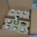 Air Wick Plug in Scented Oil Refill, 10ct, Summer Delights, Scented Oil, Air Freshener, Essential Oils, Eco Friendly (6.7 Fl Oz)